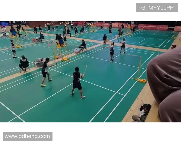 赛后分析：西安羽毛球队与南京羽毛球队的战术对决与启示