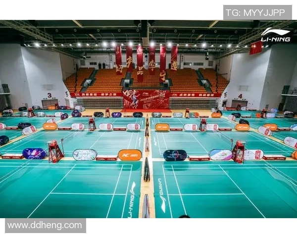 聚焦羽毛球：南京羽毛球队的战术话题